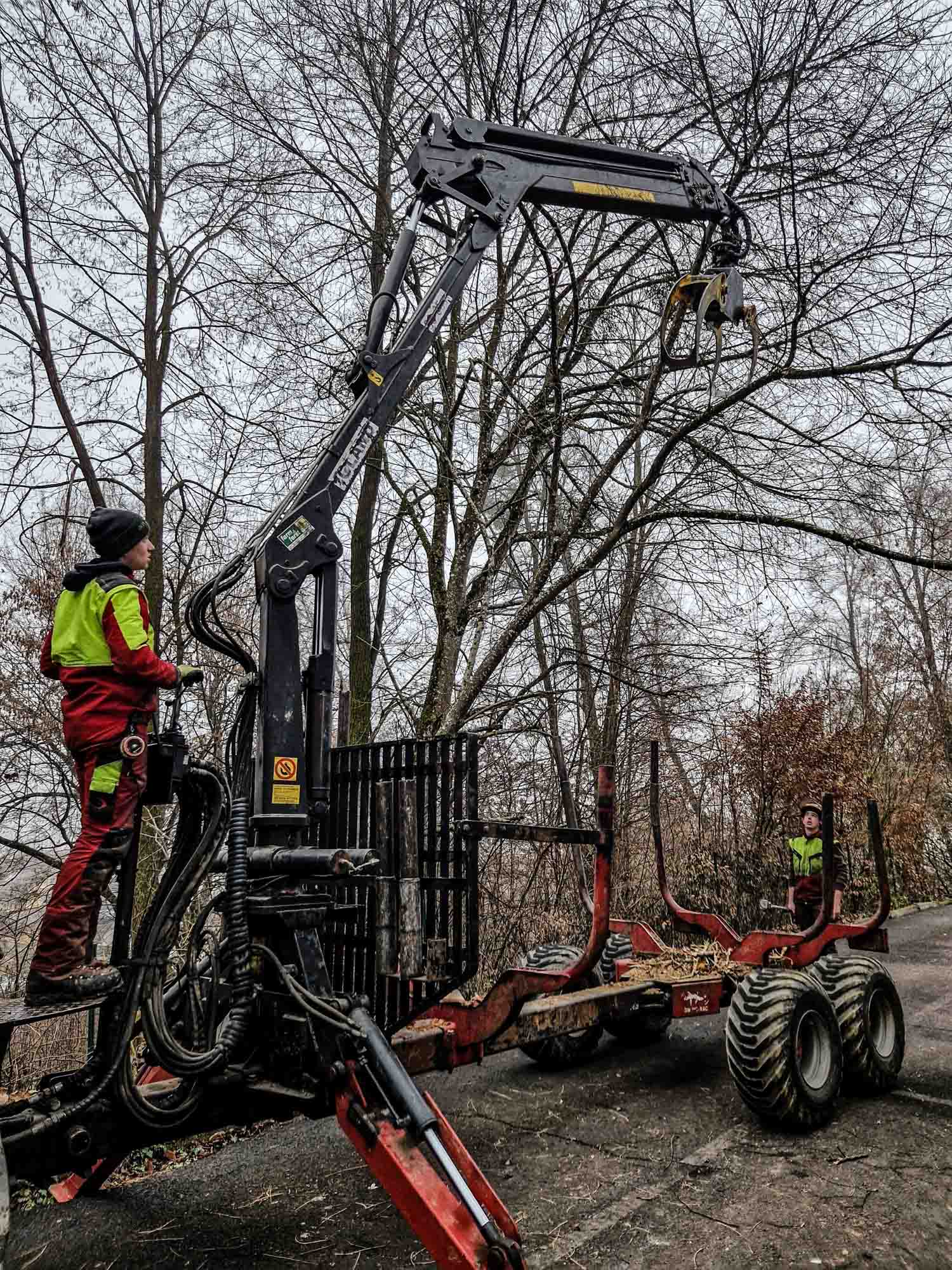 Holzschlägerung Hofer